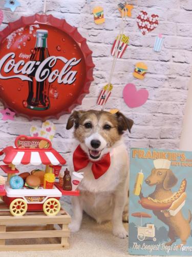 20230905こはるちゃん